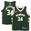 Duraturo Giannis Antetokounmpo Milwaukee Bucks Nike Preschool Swingman Player Jersey Icon Edition Hunter Green