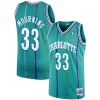 Fascinante Classico Alonzo Mourning Charlotte Hornets 1992/93 Hardwood Classics Swingman Jersey Teal
