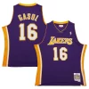 Trendy Pau Gasol Los Angeles Lakers 2009/10 Hardwood Classics Swingman Jersey Purple