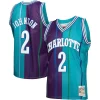 Moderno Cool Elegante Larry Johnson Charlotte Hornets Hardwood Classics Split Swingman Jersey Teal/Purple